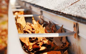 Ringlestone gutter cleaning companies